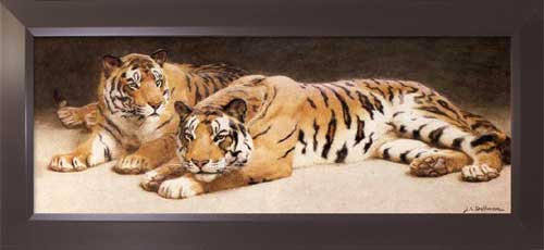 Two Wild Tigers